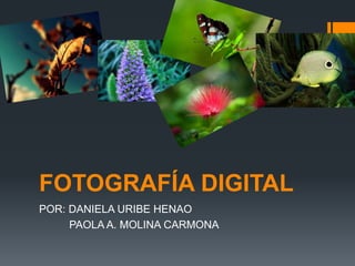 FOTOGRAFÍA DIGITAL
POR: DANIELA URIBE HENAO
PAOLA A. MOLINA CARMONA
 