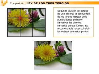 Composición:   LEY DE LOS TRES TERCIOS Según la división por tercios de una escena, la confluencia de los tercios marcan unos puntos donde se hacen llamativos los objetos, llamados puntos fuertes. Es recomendable hacer coincidir los objetos con estos puntos.  