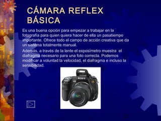 23
CÁMARA REFLEX
BÁSICA
Es una buena opción para empezar a trabajar en la
fotografía para quien quiera hacer de ella un pasatiempo
importante. Ofrece todo el campo de acción creativa que da
un sistema totalmente manual.
Además, a través de la lente el exposímetro muestra el
diafragma necesario para una foto correcta. Podemos
modificar a voluntad la velocidad, el diafragma e incluso la
sensibilidad.
 