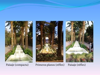 Paisaje (compacta)          Primeros planos (réflex)     Paisaje (réflex)