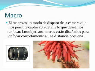MacroEl macro es un modo de disparo de la cámara que nos permite captar con detalle lo que deseamos enfocar. Los objetivos macros están diseñados para enfocar correctamente a una distancia pequeña.