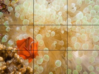Fotografía Básica