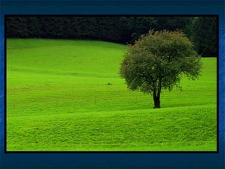 Fotografía Básica