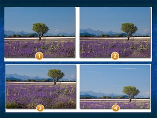 Fotografía Básica