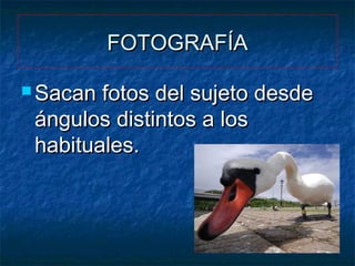 FOTOGRAFÍA
 Sacan

fotos del sujeto desde
ángulos distintos a los
habituales.

 
