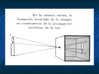 Fotografía Básica