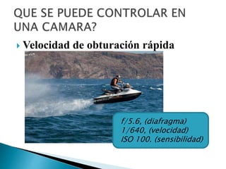  Velocidad de obturación rápida
f/5.6, (diafragma)
1/640, (velocidad)
ISO 100. (sensibilidad)
 