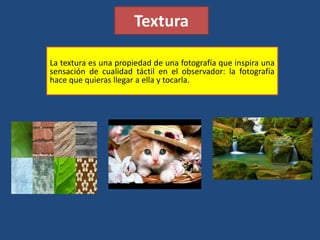 Textura
La textura es una propiedad de una fotografía que inspira una
sensación de cualidad táctil en el observador: la fotografía
hace que quieras llegar a ella y tocarla.
 
