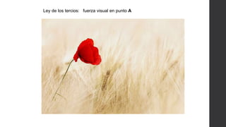 Ley de los tercios: fuerza visual en punto A
 
