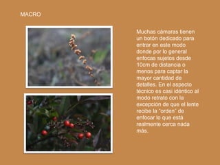 MACRO


        Muchas cámaras tienen
        un botón dedicado para
        entrar en este modo
        donde por lo general
        enfocas sujetos desde
        10cm de distancia o
        menos para captar la
        mayor cantidad de
        detalles. En el aspecto
        técnico es casi idéntico al
        modo retrato con la
        excepción de que el lente
        recibe la “orden” de
        enfocar lo que está
        realmente cerca nada
        más.
 
