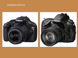 CÁMARAS REFLEX
 