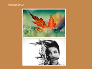 FOTOGRAFÍAS
 