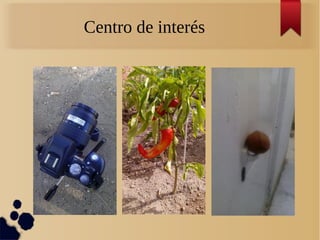 Centro de interés
 
