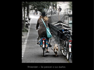 Amsterdam – Se parecen a sus dueños
 