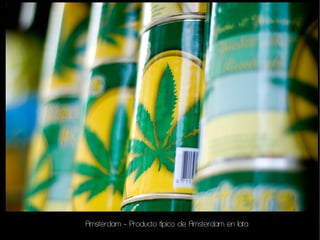 Amsterdam - Producto típico de Amsterdam en lata
 