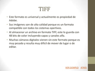 TIFF
• Este formato es universal y actualmente es propiedad de
Adobe.
• Sus imágenes son de alta calidad porque es un formato
compatible con todos los sistemas opertivos.
• Al almacenar un archivo en formato TIFF, este lo guarda con
48 bits de color incluyendo capas y canales alfa.
• Muchas cámaras digitales vienen sin este formato porque es
muy pesado y resulta muy difícil de mover de lugar o de
editar.
ATRÁSVER EJEMPLO
 