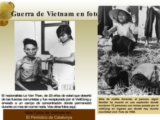 Guerra de Vietnam en fotos. El nacionalista Le Van Than, de 23 años de edad que desertó de las fuerzas comunistas y fue recapturado por el VietCong y enviado a un campo de concentración donde permaneció durante un mes sin comer nada. Vea otras fotos aquí;  Niña de rodilla llorando, al parecer, algún familiar ha muerto en una explosión donde murieron 15 personas con minas puesta por el vietCong en lugares por donde hay mucha movilidad civil. Foto de 1966.   Más Fotos de Vietnam en .  El Periódico de Catalunya 