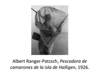 Albert Ranger-Patzsch,  Pescadora de camarones de la isla de Halligen , 1926. 
