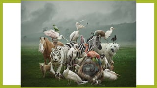 Fotografías de animales.ppsx