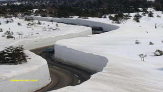 ESPERANZA GELO ORTIZ
 