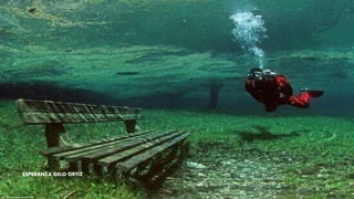 ESPERANZA GELO ORTIZ
 