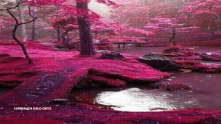 ESPERANZA GELO ORTIZ
 