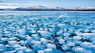 ESPERANZA GELO ORTIZ
 