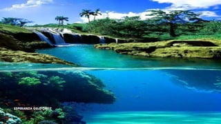 ESPERANZA GELO ORTIZ
 