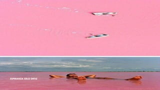 ESPERANZA GELO ORTIZ
 