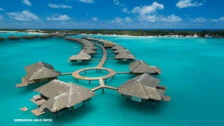 ESPERANZA GELO ORTIZ
 