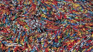 ESPERANZA GELO ORTIZ
 