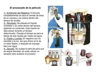 lEl procesado de la película
l1.- Extracción del Negativo: A oscuras
completamente se saca el carrete de fotos
de su carcasa y se coloca dentro del
tanque de revelar.
l2.- Revelado: Se prepara el líquido
revelador y se vierte dentro del tanque,
agitando su contenido. Este líquido se
deja actuar durante un tiempo
determinado. Pasado el tiempo se para el
efecto de ese líquido por medio de agua.
l3.- Fijado y Lavado: El negativo aún es
sensible a la luz, así que ahora se le da
un baño fijador, y después se enjuaga
bien con agua.
l4.- Secado: Se cuelga la película para que
se seque (también se suele utilizar un
secador para acelerar el proceso)
 