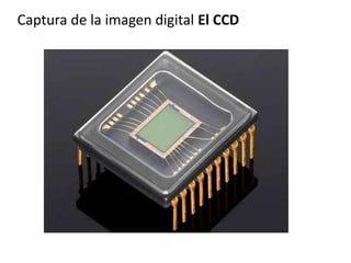 Captura de la imagen digital El CCD
 