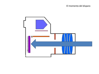 El momento del disparo
 