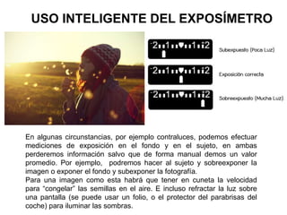 USO INTELIGENTE DEL EXPOSÍMETRO
En algunas circunstancias, por ejemplo contraluces, podemos efectuar
mediciones de exposición en el fondo y en el sujeto, en ambas
perderemos información salvo que de forma manual demos un valor
promedio. Por ejemplo, podremos hacer al sujeto y sobreexponer la
imagen o exponer el fondo y subexponer la fotografía.
Para una imagen como esta habrá que tener en cuneta la velocidad
para “congelar” las semillas en el aire. E incluso refractar la luz sobre
una pantalla (se puede usar un folio, o el protector del parabrisas del
coche) para iluminar las sombras.
 