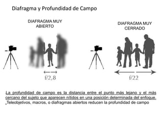 Diafragma y Profundidad de Campo
lLa profundidad de campo es la distancia entre el punto más lejano y el más
cercano del sujeto que aparecen nítidos en una posición determinada del enfoque.
,Teleobjetivos, macros, o diafragmas abiertos reducen la profundidad de campo
DIAFRAGMA MUY
CERRADO
DIAFRAGMA MUY
ABIERTO
 