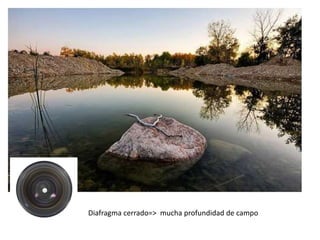 Diafragma cerrado=> mucha profundidad de campo
 
