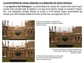 lLa profundidad de campo obtenida va a depender de varios factores:
l1. La apertura del diafragma: La profundidad de campo de nuestra foto será mayor
cuanto más cerrado esté el objetivo, o lo que es lo mismo, tenga un número f mayor.
Así, una fotografía tomada desde un punto a f=16 tendrá mayor profundidad de
campo que otra tomada desde el mismo punto con una apertura de f=4.
lA f/2.8 con el enfoque en el adorno de
piedra de primer plano, el edificio de detrás
aparece borroso.
lA f/11 con el enfoque en el adorno de piedra de
primer plano, todos los detalles del encuadre
aparecen nítidos.
lA f/5.6 el edificio de detrás se ve más nítido
que antes, pero aún hay elementos en él,
que no se aprecian bien.
f/2.8
f/5.6
f/11
 