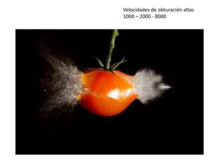 Velocidades de obturación altas
1000 – 2000 - 8000
 