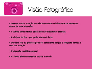Visão Fotográfica
•


•

•

•


•

•
 