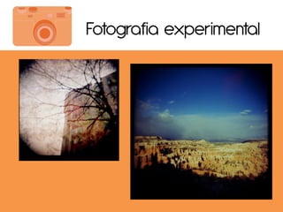 Fotografia experimental
 
