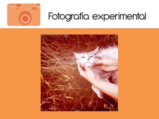 Fotografia experimental
 