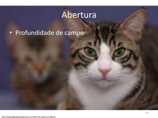 AberturaProfundidade de campohttp://basedigitalphotography.com/dof-the-aperture-effect/16