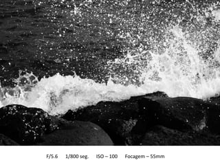 F/5.6   1/800 seg.   ISO – 100   Focagem – 55mm
 