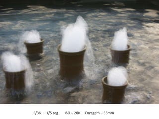 F/36   1/5 seg.   ISO – 200   Focagem – 55mm
 