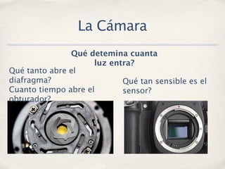 La Cámara
               Qué detemina cuanta
                     luz entra?
Qué tanto abre el
diafragma?                  Qué tan sensible es el
Cuanto tiempo abre el       sensor?
obturador?
 
