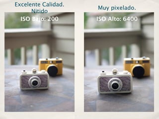 Excelente Calidad.
                     Muy pixelado.
      Nitido
  ISO Bajo: 200      ISO Alto: 6400
 