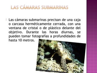 

Las cámaras submarinas precisan de una caja
o carcasa herméticamente cerrada, con una
ventana de cristal o de plástico delante del
objetivo. Durante las horas diurnas, se
pueden tomar fotografías a profundidades de
hasta 10 metros.

 
