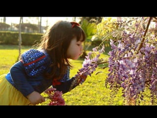 DIAFRAGMA (quantidade de luz)
• Aumentou a abertura dele, diminui a entrada de luz
• Menor número do diafragma – maior entrada da luz
Aumentar o diafragma, aumentar o número – fecha
Aumentar o tamanho, diminui o número
O ANÃO TEM MAIS LUZ
Efeito de desfoque
(Profundidade de campo)
• Quanto + aberto o diafragma + desfoque
• Menor o diafragma, mais fechado,
menos desfoque
 
