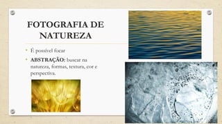 FOTOGRAFIA DE
NATUREZA
• É possível focar
• ABSTRAÇÃO: buscar na
natureza, formas, textura, cor e
perspectiva.
 